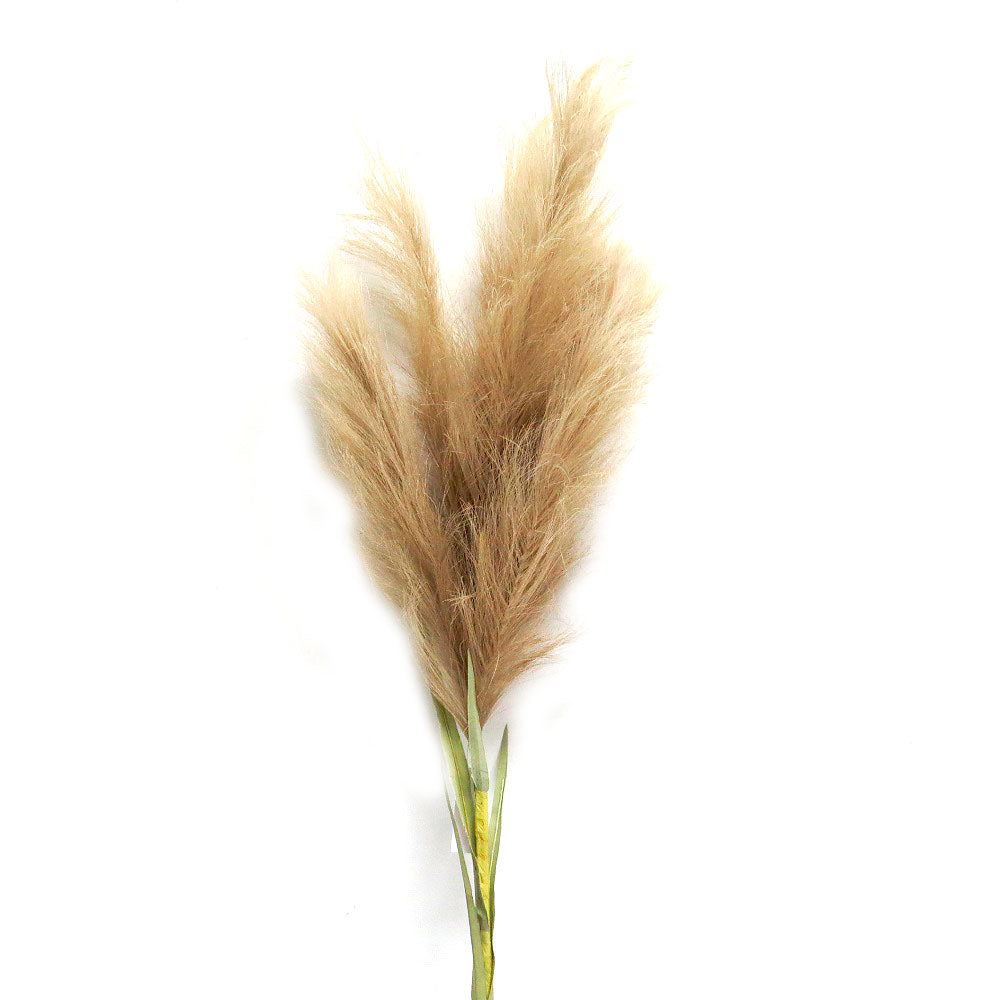 Mega Pampas Grass - Long CARLY THELLA INTERIOR DECOR