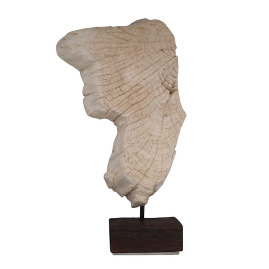 Atlas Driftwood Sculpture on Stand Jumbo