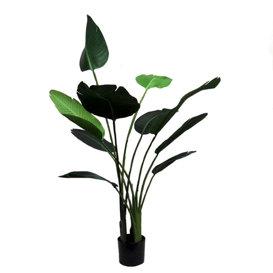 Strelitzia Plant -Medium CARLY THELLA INTERIOR DECOR