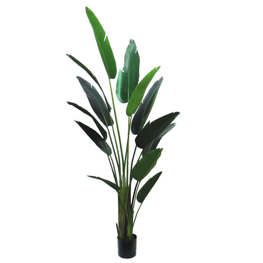 Strelitzia Plant - Long CARLY THELLA INTERIOR DECOR