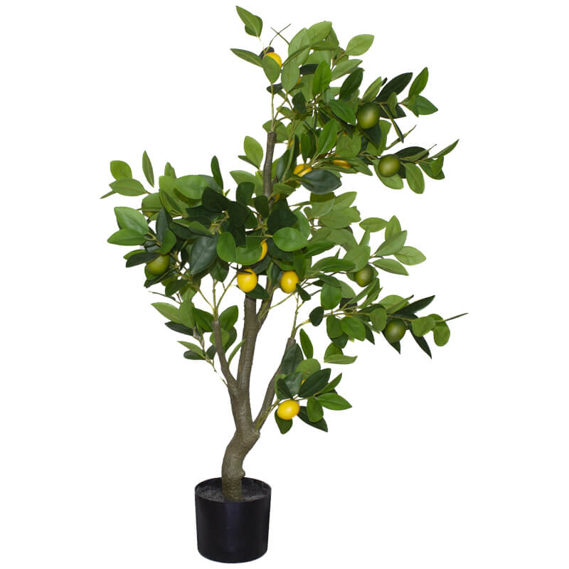 Lemon tree In Pot CARLY THELLA INTERIOR DECOR