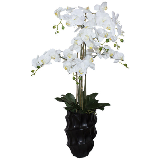 White Orchid in Black Pot Carly Thella Interior