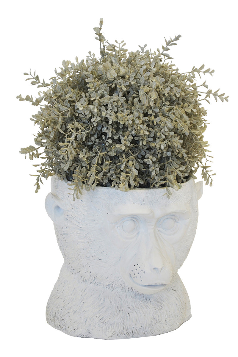 Yokui Chimp Planter - Carly Thella Interior