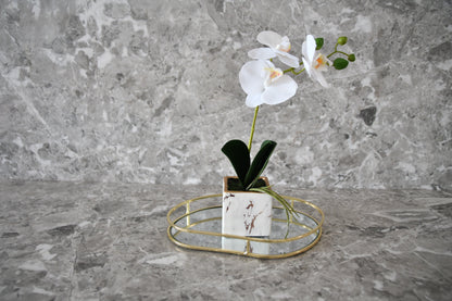 White Orchid In Marble Pot