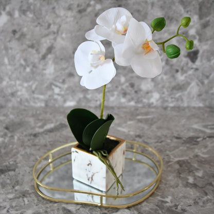 White Orchid In Marble Pot