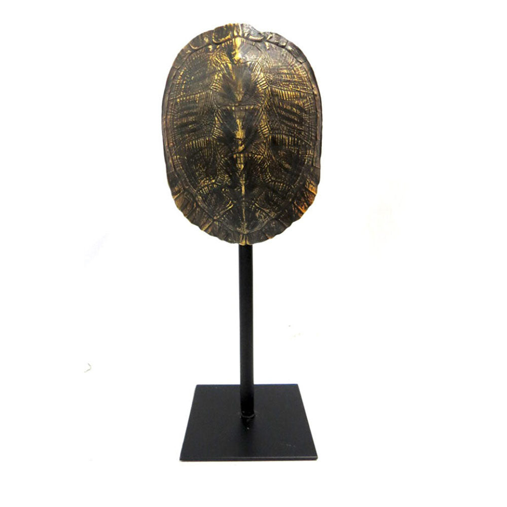 Tortoise Shell Decor