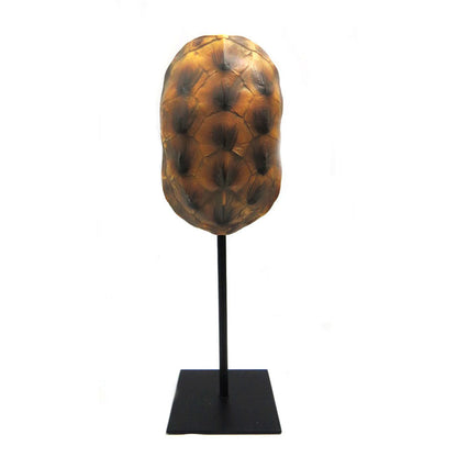 Tortoise Shell Decor