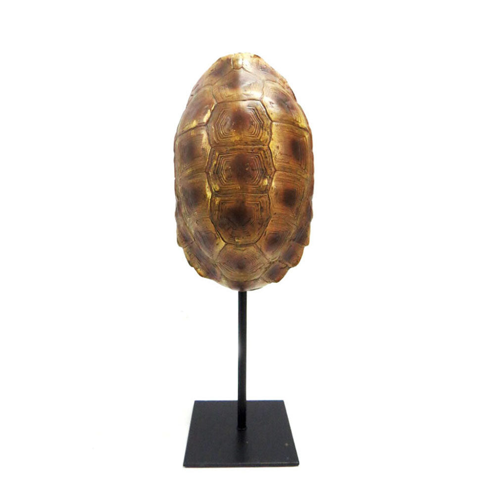 Tortoise Shell Decor