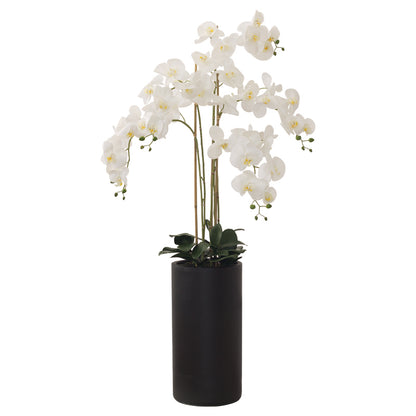 White Real Touch Orchid