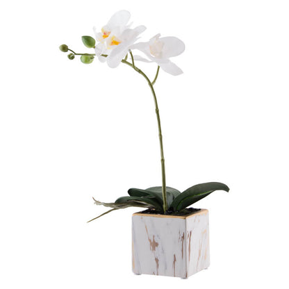 White Orchid In Marble Pot