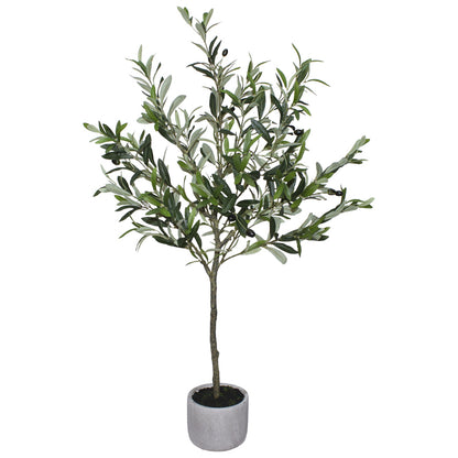 Olive Tree in a Concrete Pot