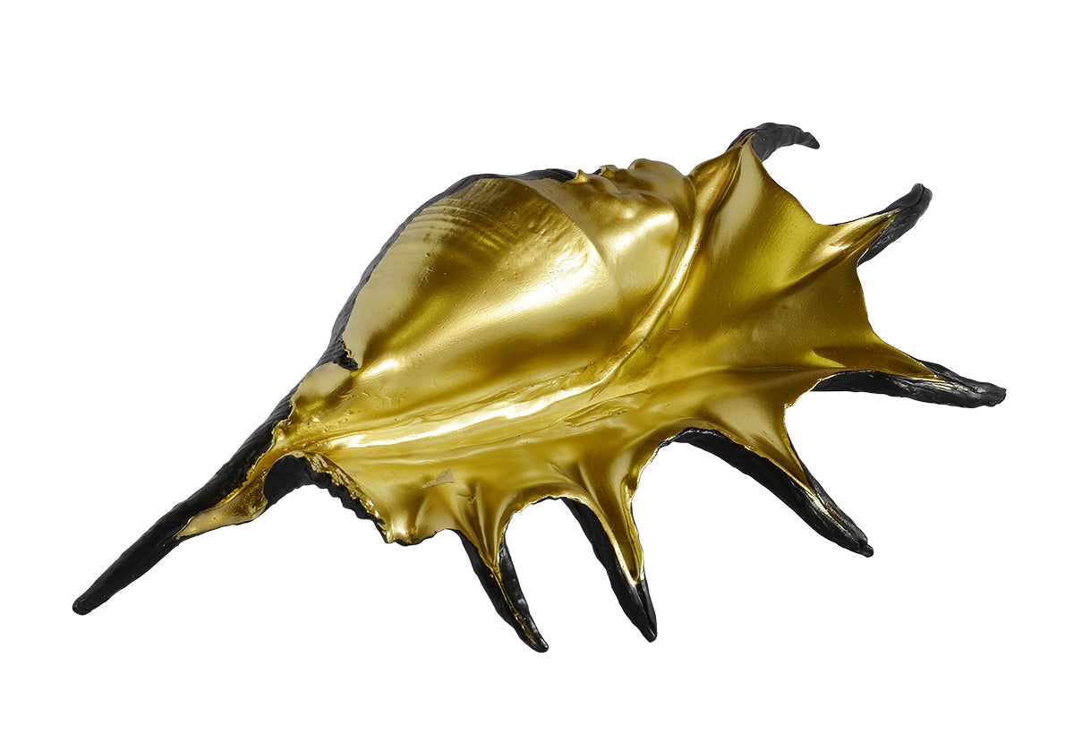 Crab Sea Shell Decorative Ornament